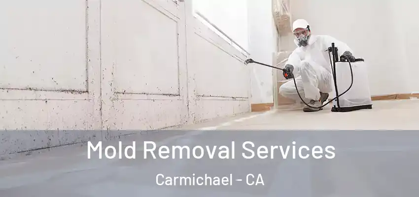  Mold Removal Services Carmichael - CA