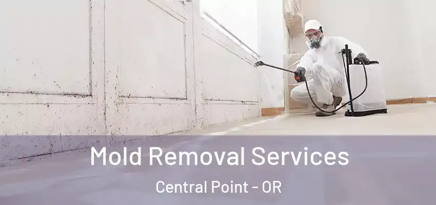  Mold Removal Services Central Point - OR