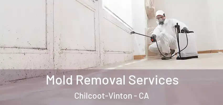  Mold Removal Services Chilcoot-Vinton - CA