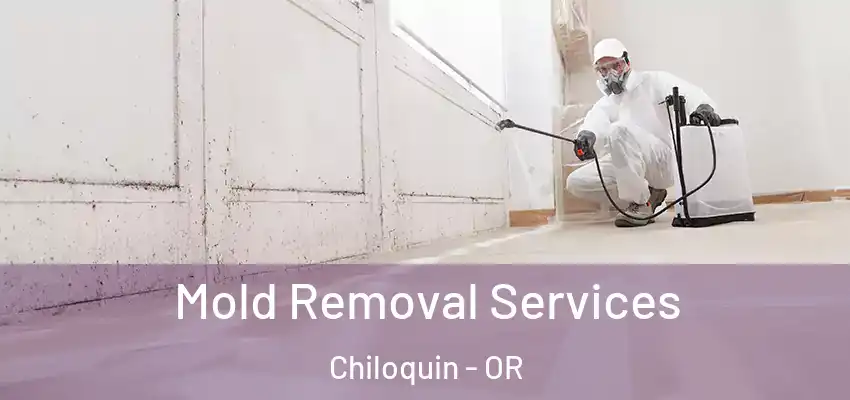  Mold Removal Services Chiloquin - OR