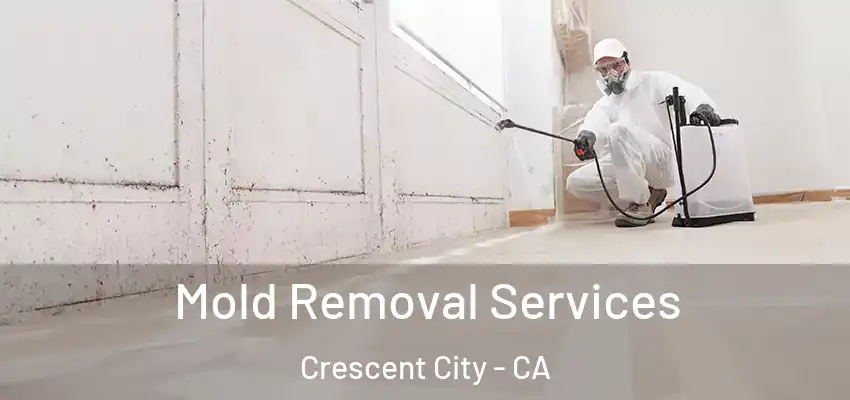  Mold Removal Services Crescent City - CA