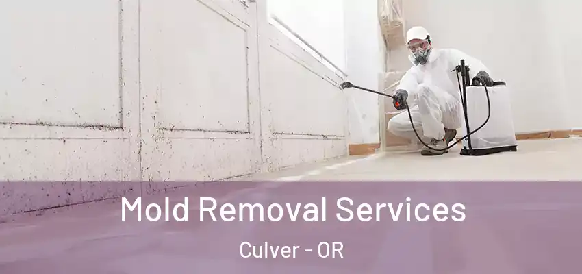  Mold Removal Services Culver - OR