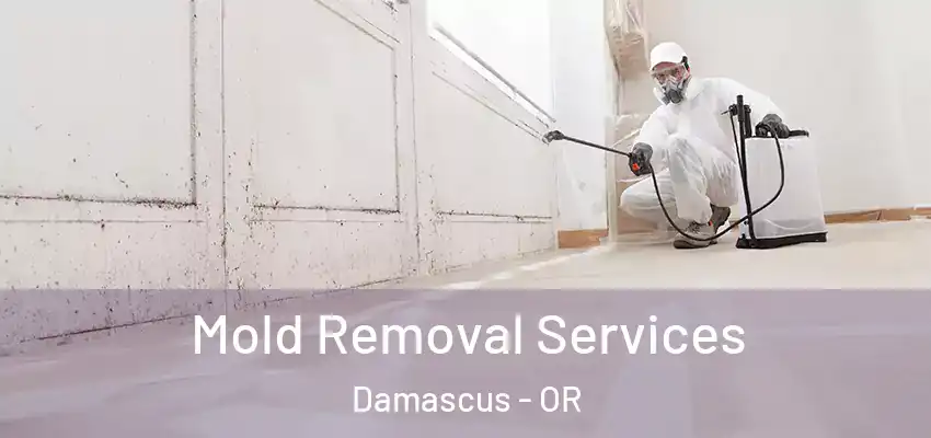  Mold Removal Services Damascus - OR