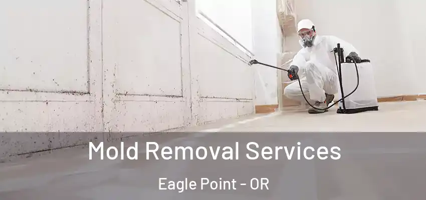  Mold Removal Services Eagle Point - OR