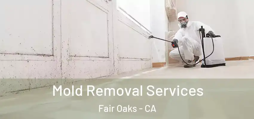  Mold Removal Services Fair Oaks - CA