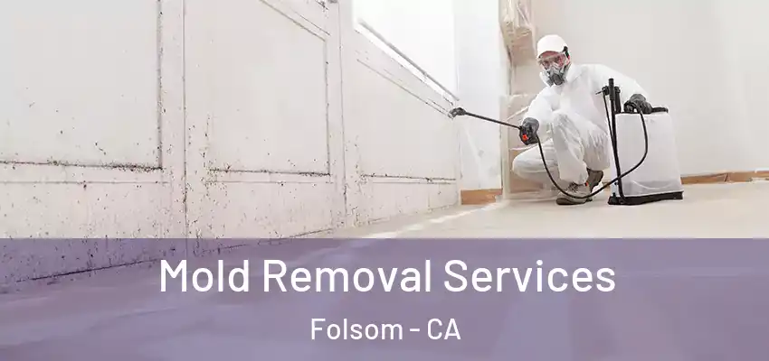  Mold Removal Services Folsom - CA