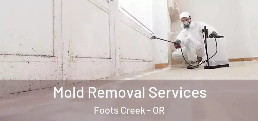  Mold Removal Services Foots Creek - OR