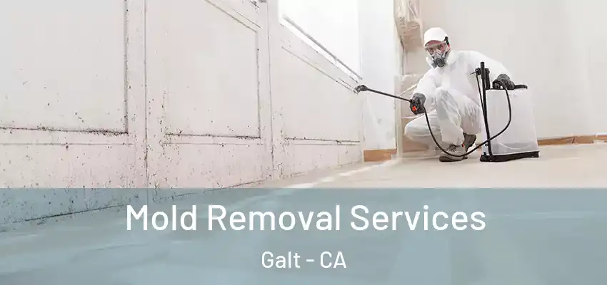  Mold Removal Services Galt - CA