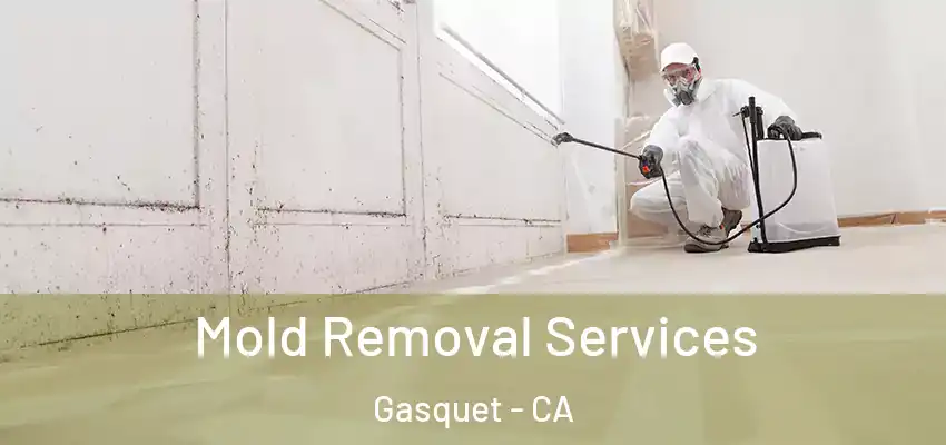  Mold Removal Services Gasquet - CA