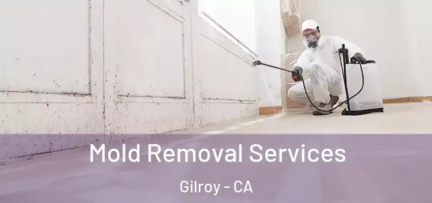  Mold Removal Services Gilroy - CA