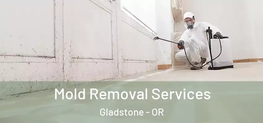  Mold Removal Services Gladstone - OR