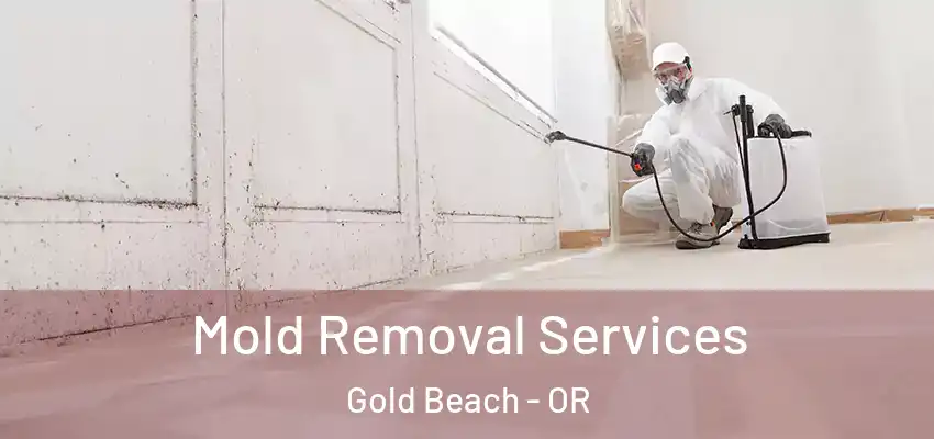  Mold Removal Services Gold Beach - OR