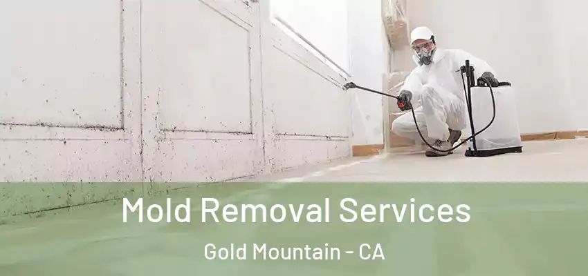  Mold Removal Services Gold Mountain - CA
