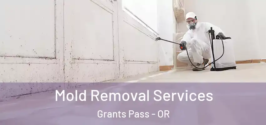 Mold Removal Services Grants Pass - OR
