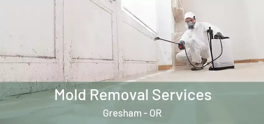  Mold Removal Services Gresham - OR