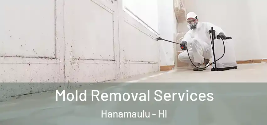  Mold Removal Services Hanamaulu - HI