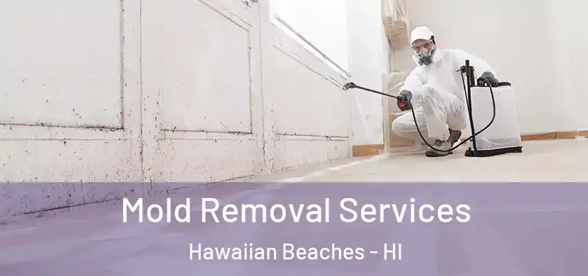  Mold Removal Services Hawaiian Beaches - HI