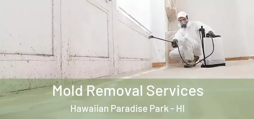  Mold Removal Services Hawaiian Paradise Park - HI