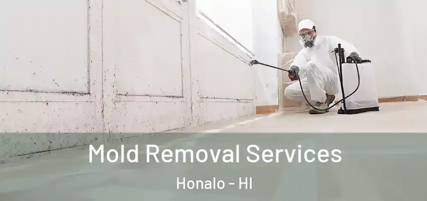  Mold Removal Services Honalo - HI