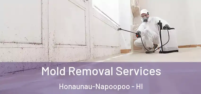  Mold Removal Services Honaunau-Napoopoo - HI