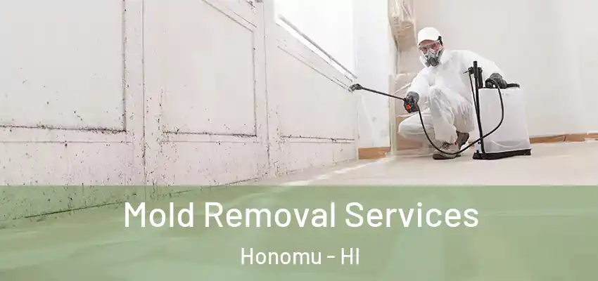  Mold Removal Services Honomu - HI