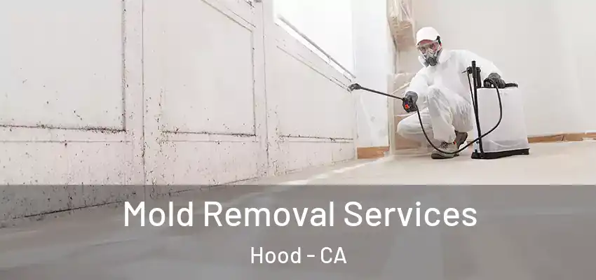  Mold Removal Services Hood - CA