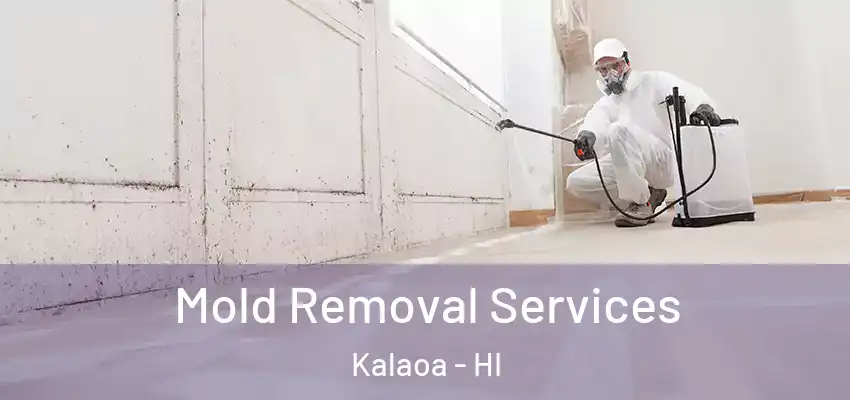 Mold Removal Services Kalaoa - HI