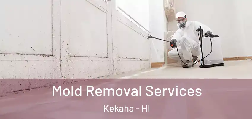  Mold Removal Services Kekaha - HI