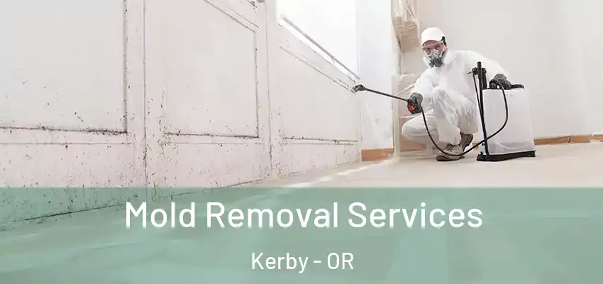  Mold Removal Services Kerby - OR