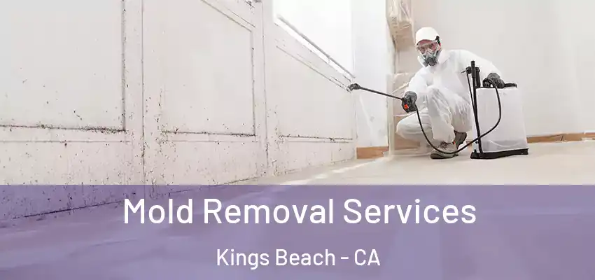  Mold Removal Services Kings Beach - CA