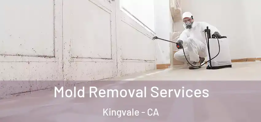  Mold Removal Services Kingvale - CA