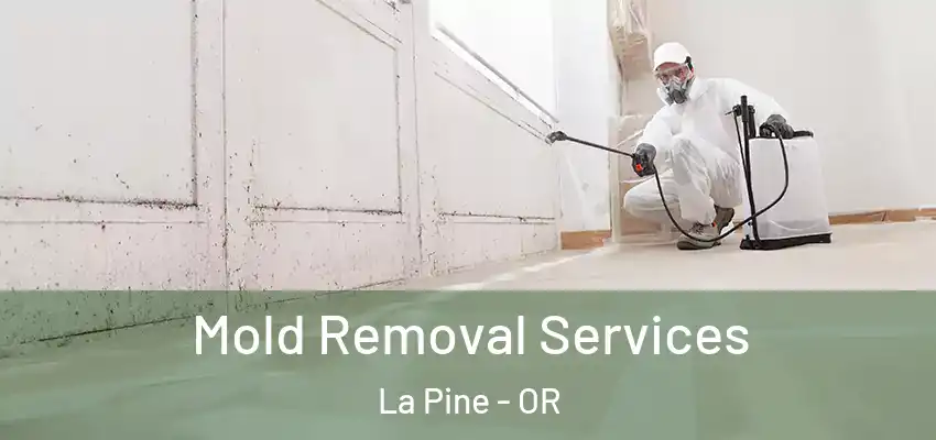  Mold Removal Services La Pine - OR