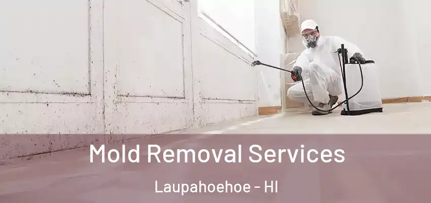  Mold Removal Services Laupahoehoe - HI