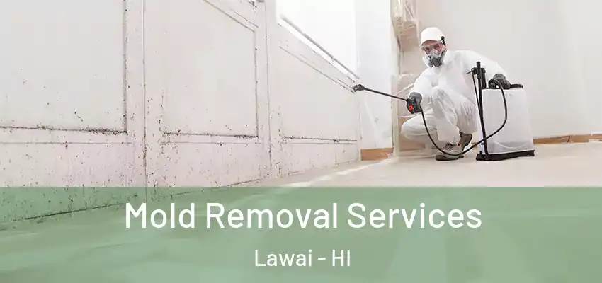 Mold Removal Services Lawai - HI