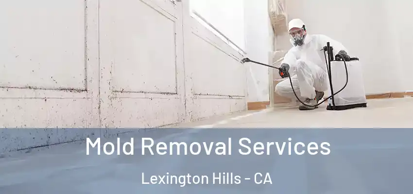 Mold Removal Services Lexington Hills - CA