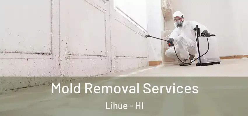  Mold Removal Services Lihue - HI
