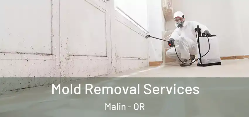  Mold Removal Services Malin - OR