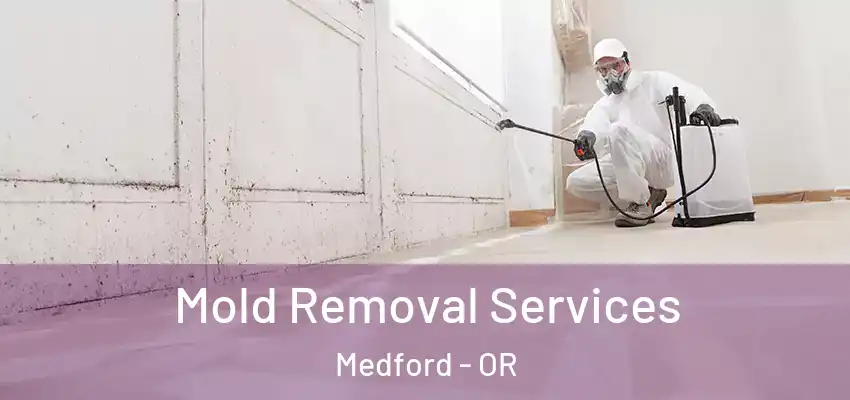  Mold Removal Services Medford - OR