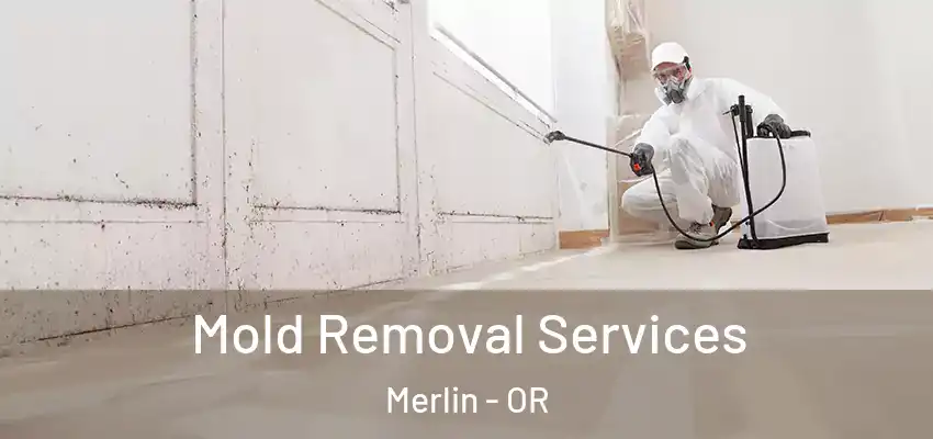  Mold Removal Services Merlin - OR