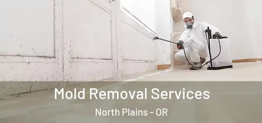  Mold Removal Services North Plains - OR