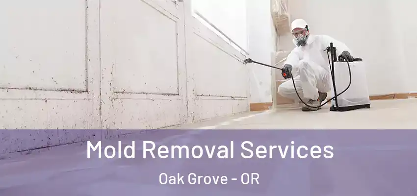  Mold Removal Services Oak Grove - OR