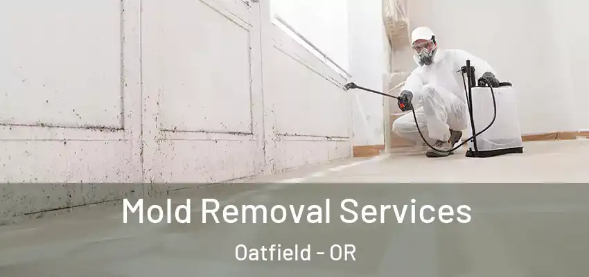  Mold Removal Services Oatfield - OR