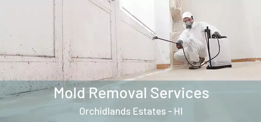  Mold Removal Services Orchidlands Estates - HI