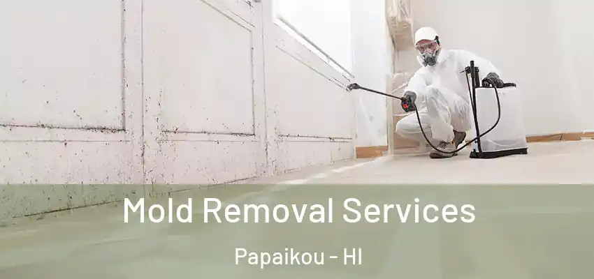  Mold Removal Services Papaikou - HI