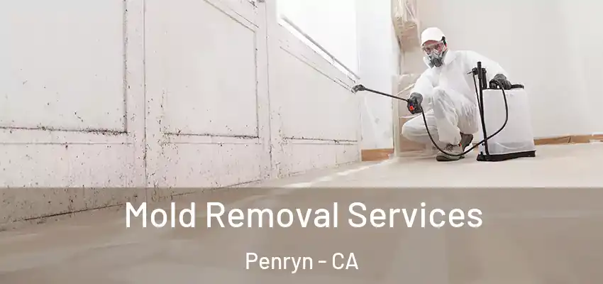  Mold Removal Services Penryn - CA