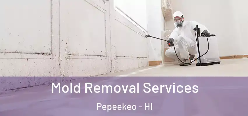  Mold Removal Services Pepeekeo - HI