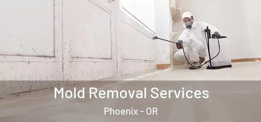  Mold Removal Services Phoenix - OR