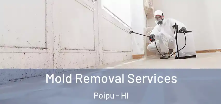 Mold Removal Services Poipu - HI