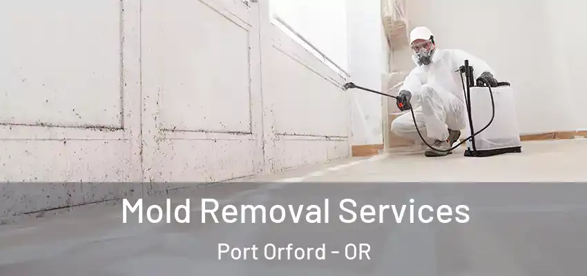 Mold Removal Services Port Orford - OR