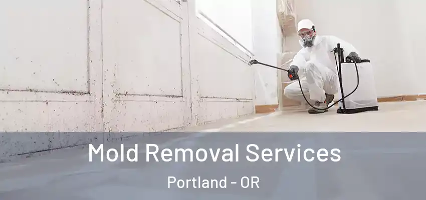  Mold Removal Services Portland - OR